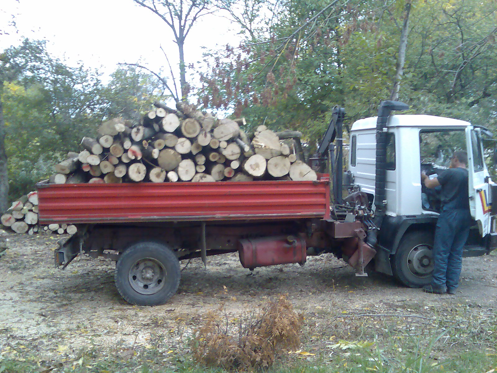 Prevoz drva