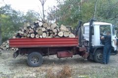 Prevoz drva